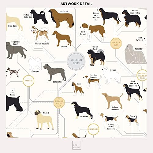 תרשים פופ | גזעים של פוסטר כלבים | דפוס אמנות 16 x 20 | תרשים של כל גזע כלבים | עיצוב קיר של חובב כלבים מושלם לבית | מעוצב ונוצר בארצות הברית